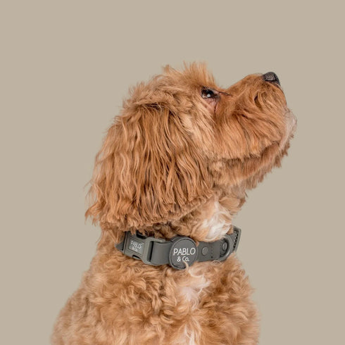 Pablo & Co. CHARCOAL Waterproof Dog Collar